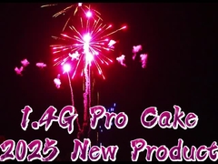 1.4G Outdoor 300 Shots Cake Fireworks Sky Shot Fireworks ไฟเพลิง ไฟเพลิงคริสต์มาส ไฟเพลิงไฟเพลิงสําหรับ S
