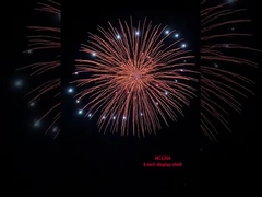 ชายมืออาชีพแสดงโครงกระบอก ไฟฟ้า ไพโรเทคนิค 6 นิ้วแสดงโครงกระบอกลูก