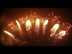 ดอกไม้ไฟแมนดารินดอกไม้ไฟ 65 ช็อตดอกไม้ไฟรูปพัด