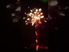 ดอกไม้ไฟ Liuyang ดอกไม้ไฟ 196 ช็อต การแสดงเอฟเฟกต์พิเศษเค้กดอกไม้ไฟระดับมืออาชีพ