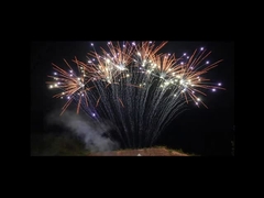 ภาษาจีนกลาง 1.3 กรัม ดอกไม้ไฟ 13 ช็อต ดอกไม้ไฟแถวเดียวระดับมืออาชีพ