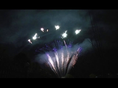 มังดารินแสดง 90 ภาพ ยกความยินดี ไพโรเทคนิค งานเพลิงเพลิง