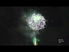 AFSL ปรับแต่ง 100 นัด งานเพลิงเพลิงเค้กมืออาชีพสําหรับงานฉลอง