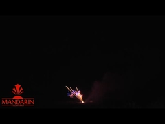 ยินดีต้อนรับ ภาพเพลิงเพลิงมืออาชีพ โชว์ 100 นัด Z / Fan Shape Cake ไพโรเทคนิค