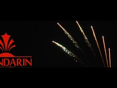 สลูท ปิโรเทคนิค ปิโรเพลิงมืออาชีพ แสดง 100 นัด 1.3 กรัม Un0335