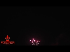 1.3g Un0335 ภาพเพลิงเพลิงมืออาชีพ / 100 ภาพเพลิงเพลิงเค้กสําหรับปีใหม่