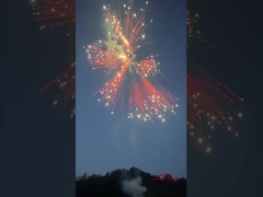 Liuyang Silver Ponytail Fireworks เค้ก 2024 โรงงานจีน ไฟฟ้า & ไฟฟ้า เค้กผู้บริโภค