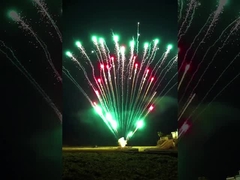 แมนดาริน 100 นัด เปิดเพลิงเพลิงเค้ก 1.4G UN0336 เปิดเพลิงเพลิงในตลาดทั่วไป