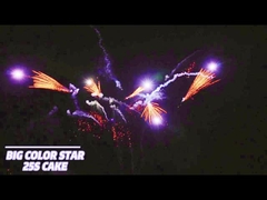 25 รูป ภัณฑ์การบริโภค เค้ก ไฟเตอรี่ รูปแบบแฟน ไพโรเทคนิค 1.4g Un0336