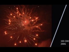 แมนดาริน 2021 ใหม่ 16 นัด 200 กรัม เค้ก ไฟฟ้าสําหรับงานฉลอง