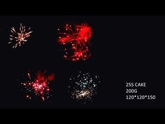 2021 ของคุณภาพใหม่ จีน 16 รูป 200 กรัม ไฟฟ้าสําหรับงานเลี้ยง