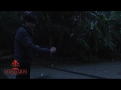 จัมโบ้ โกลด์ ไฟฟ้า Sparkler 350 มิลลิเมตร 12 นิ้ว 14 นิ้ว สปาร์คเลอร์แต่งงาน