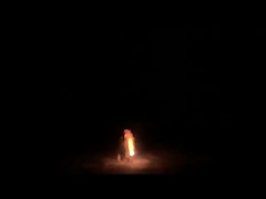 1.4g Un0336 Evil Bee Fountain ดอกไม้ไฟดอกไม้ไฟของเล่นกลางแจ้งสำหรับงานปาร์ตี้