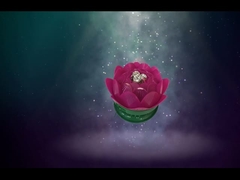 สวย ๆ ดินหมุนหงส์เพลิงเพลิง / ของเล่นวันเกิดเพลิงเพลิง