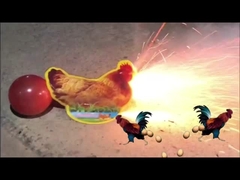 MA701 หัวหินวันเกิดที่มีความสุข เบรคเกอร์ ไก่วางไข่