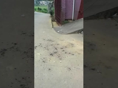 ลูกมหัศจรรย์ ของเล่น ไฟฟ้า 0.03CBM การคุ้มครองสิ่งแวดล้อม สําหรับการประชุมเฉลิมฉลอง