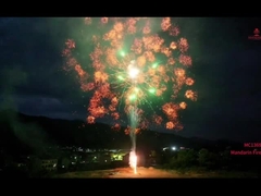 มังดาริน ไฟฟ้า 1.3g Un0335 ไฟฟ้าอาชีพ