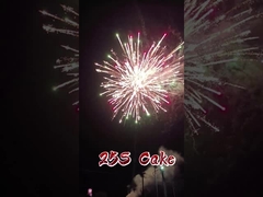 โรงงานมังดารีนลูยาง หนังสือยอดขาย ไฟฟ้า 1.4 กรัม ไฟฟ้า 2 นิ้ว 25 นัด ไฟฟ้าเค้ก