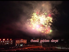 ไฟฟ้าที่มาใหม่