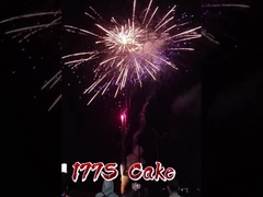 ขายปลีก มังดารีน ไฟฟ้า ไฟฟ้า 177 นัด ผู้นํา ไฟฟ้าเค้กใหญ่ ไฟฟ้าใหม่