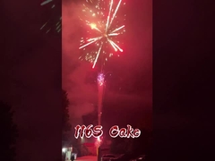 โรงงานหลิวยาง 116 นัด พลุไฟขายส่ง พลุไฟกลางแจ้งของจีน พลุไฟเค้ก