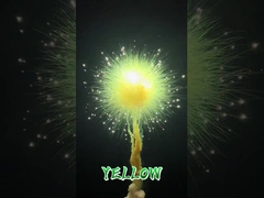 โรงงานขายส่งจีน พลุควันสีสันสดใส พลุกลางวัน พลุควันสำหรับงานแต่งงาน เทศกาล C