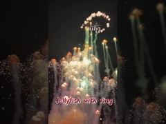 ภาษาจีน แมนดาริน Wholesale Toy Fireworks Rotating Flying Jellyfish รูปแบบของนกน้ําตาล