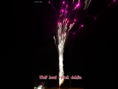 พลุเค้กมาตรฐานขายส่งกลางแจ้ง ดอกไม้ไฟร้อนจีน หอนหมาป่า และดอกรักสีชมพู