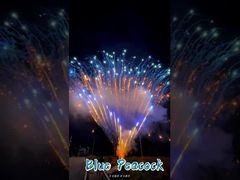 โรงงาน 0.8 นิ้ว 300 นัด 1.3 กรัม งานพิเศษเค้ก ไฟฟ้าแสดงไฟฟ้า ไฟไหม้ ไพโรเทคนิค สลูท