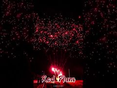 อุปกรณ์ดอกไม้ไฟหลิวหยาง 56 นัด ชุดเค้กกลางแจ้ง แบตเตอรี่ ดอกไม้ไฟพลัมแดง พลุ