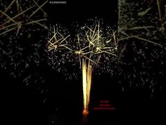 งานแสดงดอกไม้ไฟเค้กเทศกาล 100 นัด กิจกรรมกลางแจ้ง พลุไฟมืออาชีพ 1.3G