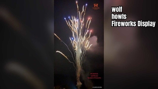 โรงงานจีนที่กำหนดเอง 100 Shot Wolf Howl เค้กดอกไม้ไฟขายส่งดอกไม้ไฟ
