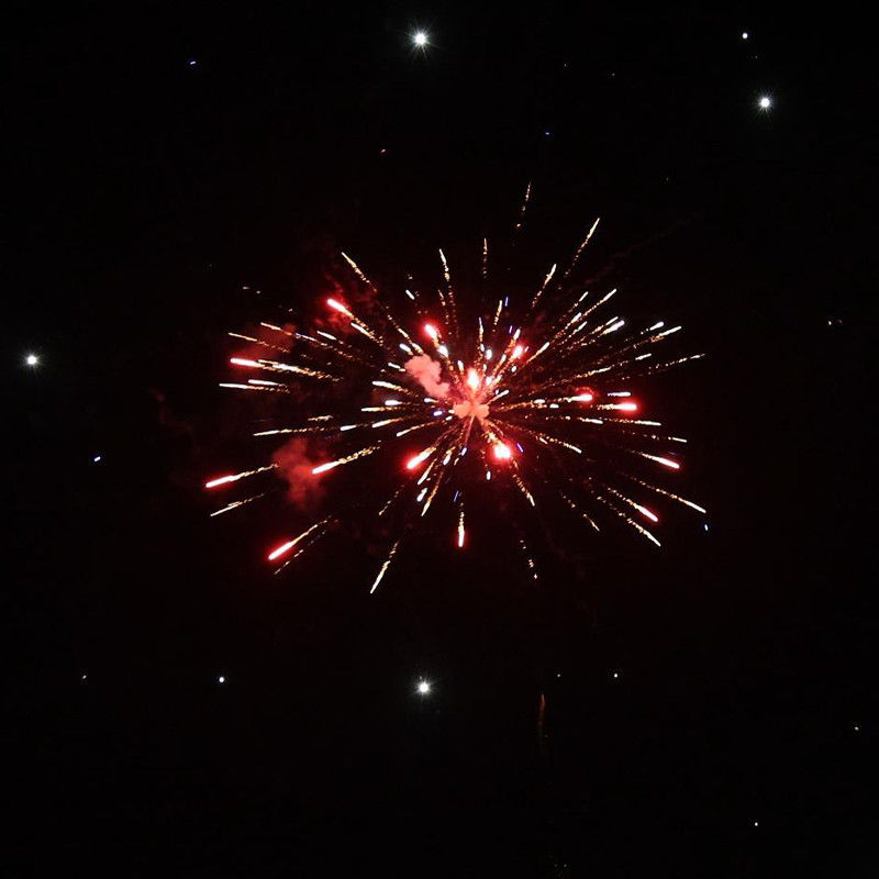 Chinese Cake Fireworks 62 Shot Cake Fireworks For Celebration Outdoor Fireworks