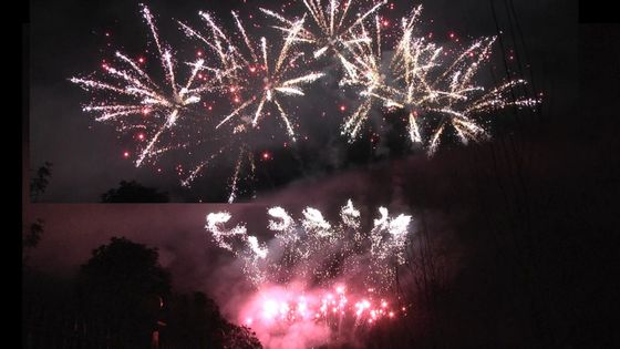 Liuyang 56 Shots Professional Fireworks Display 1.3g Un0335 สำหรับการเฉลิมฉลองเทศกาล