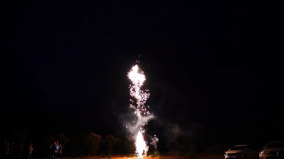 ชุดดอกไม้ไฟ Family Packs Box Pyrotechnics 49s Spit Bead Fireworks