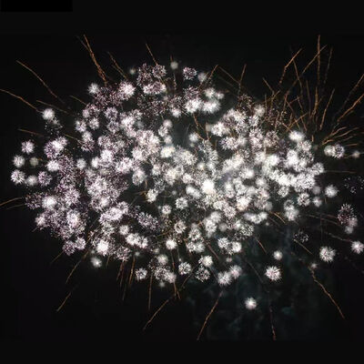 Liuyang Mandarin 1.2 Inch 25 Shots Fan Shape Fireworks Cake 1.3g UN0335 Professional Pyrotechnics Display