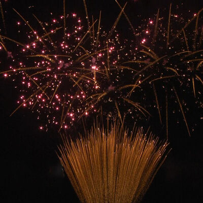 พลุเค้ก 1.2 นิ้ว 100 นัด พลุไฟ 1.3G ระดับมืออาชีพ ได้รับการรับรอง UN0335 สำหรับการเฉลิมฉลองกลางแจ้ง